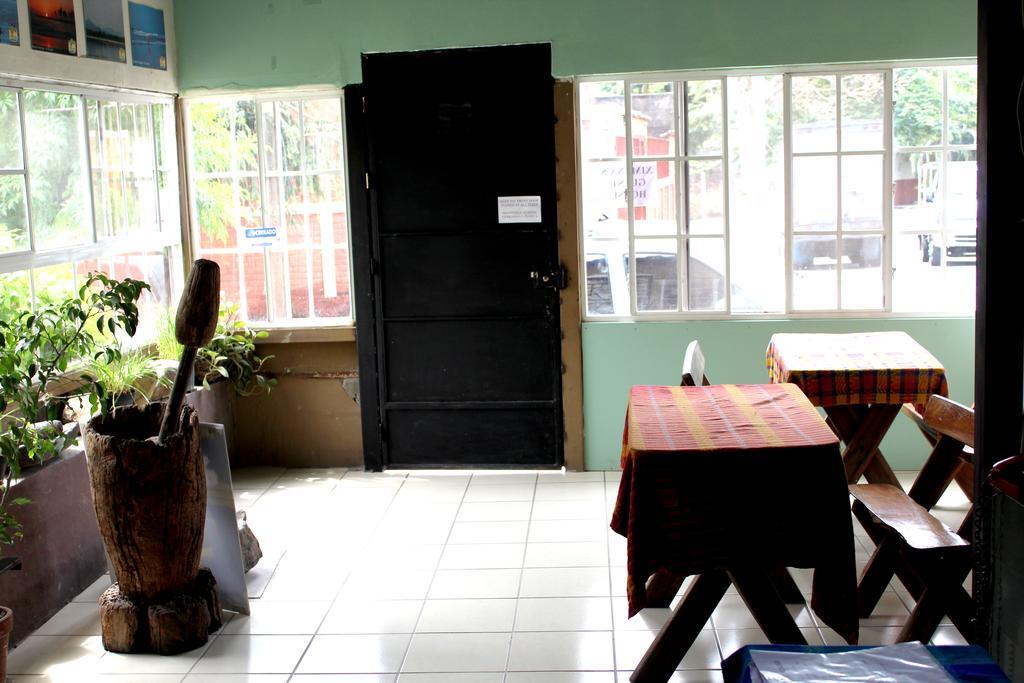Ximenas Guest House サンサルバドル エクステリア 写真
