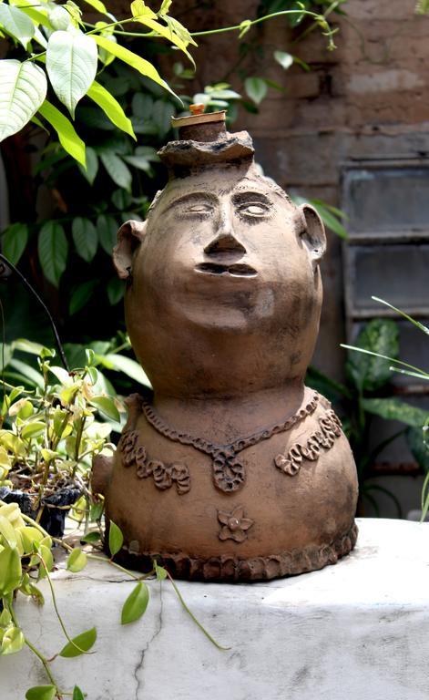 Ximenas Guest House サンサルバドル エクステリア 写真