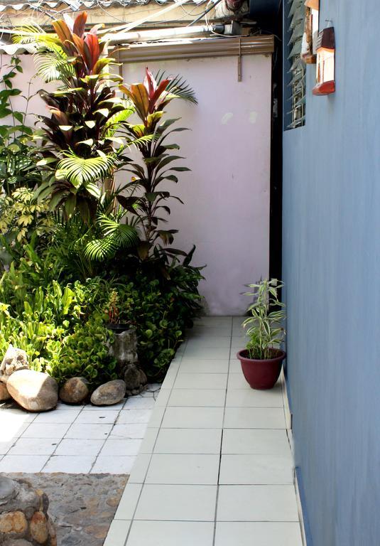 Ximenas Guest House サンサルバドル エクステリア 写真
