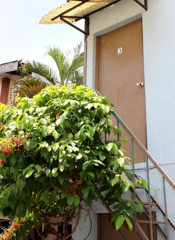 Ximenas Guest House サンサルバドル エクステリア 写真
