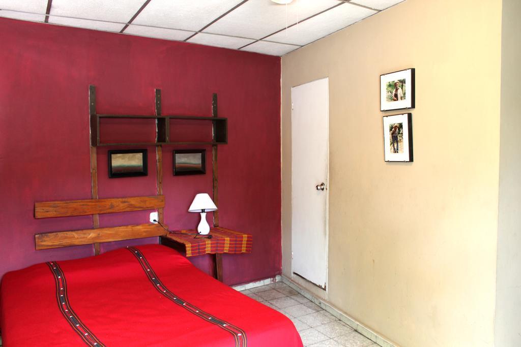 Ximenas Guest House サンサルバドル エクステリア 写真