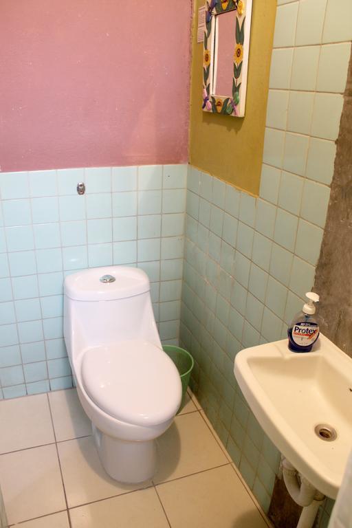 Ximenas Guest House サンサルバドル エクステリア 写真
